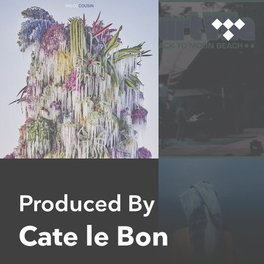 Producer Mix: Cate le Bon