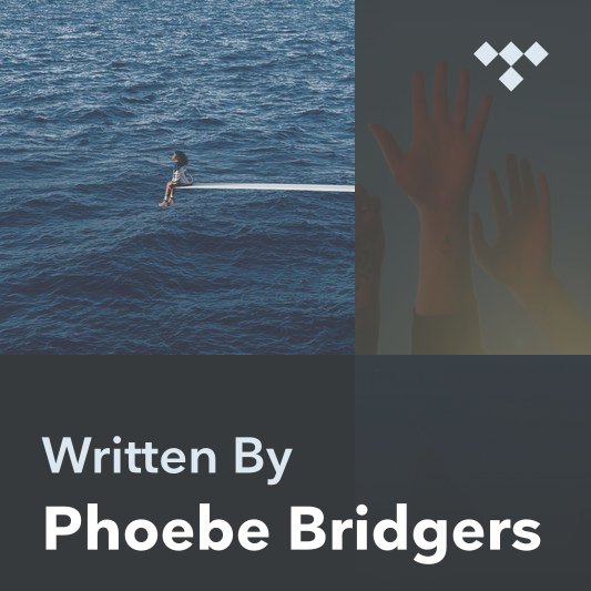 Stream Punisher (Copycat Killer Version) by phoebe bridgers