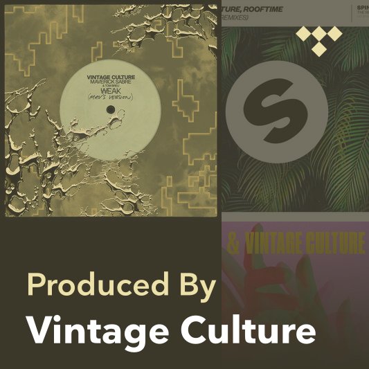 Producer Mix: Vintage Culture
