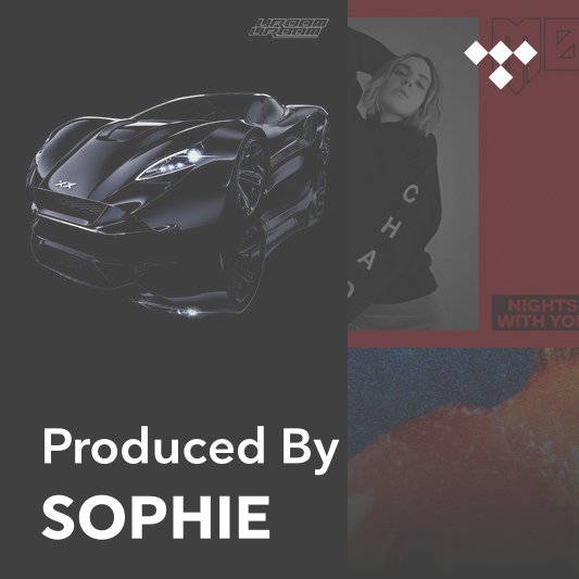 OIL OF EVERY PEARL'S UN-INSIDES Remix Album (NON STOP) — Sophie