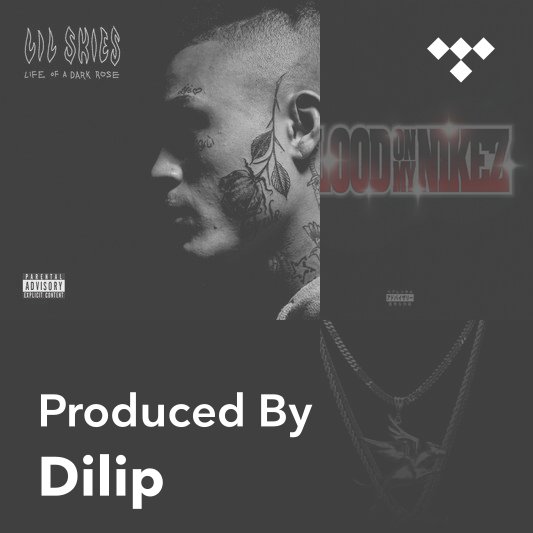 Producer Mix: Dilip