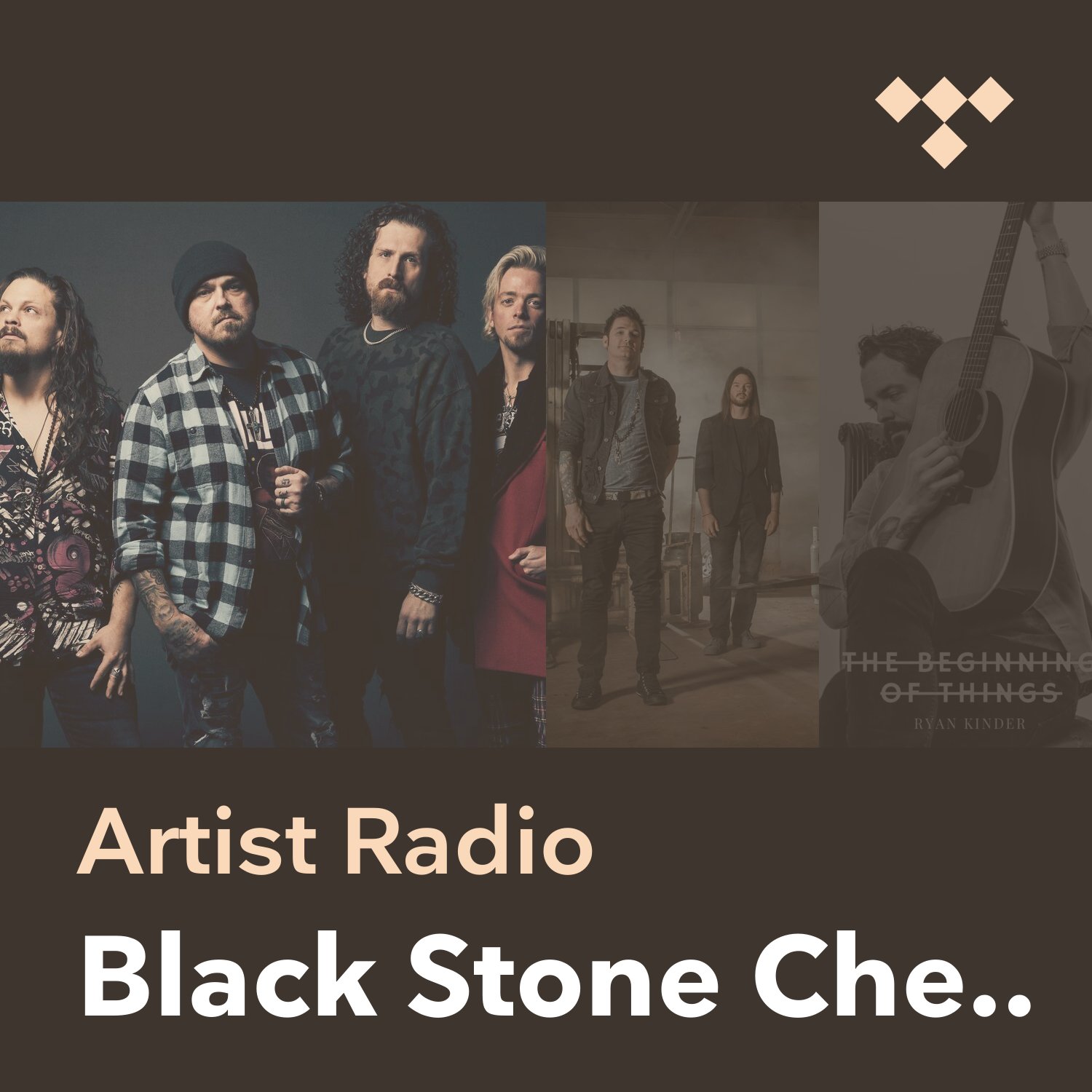 Black Stone Cherry