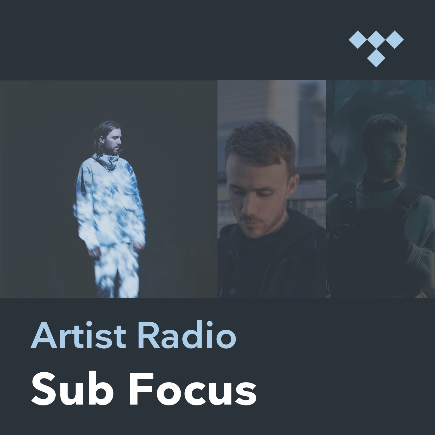 Sub Focus