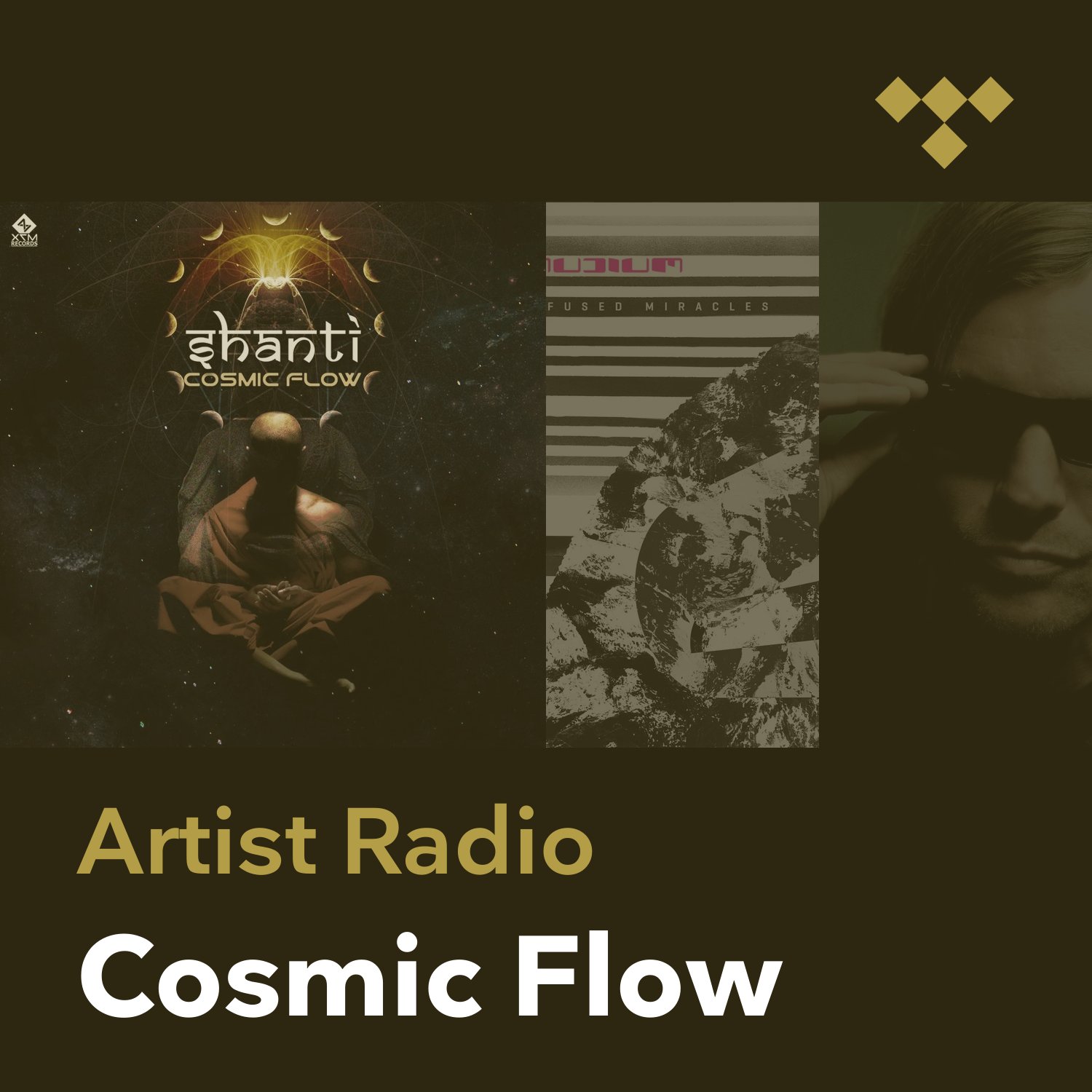 Cosmic Flow