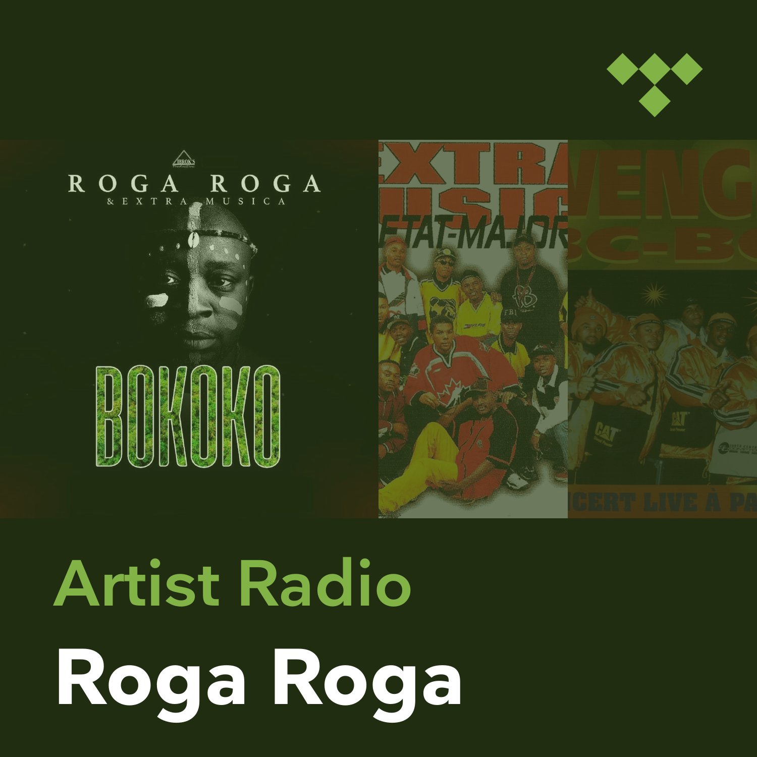 Roga Roga