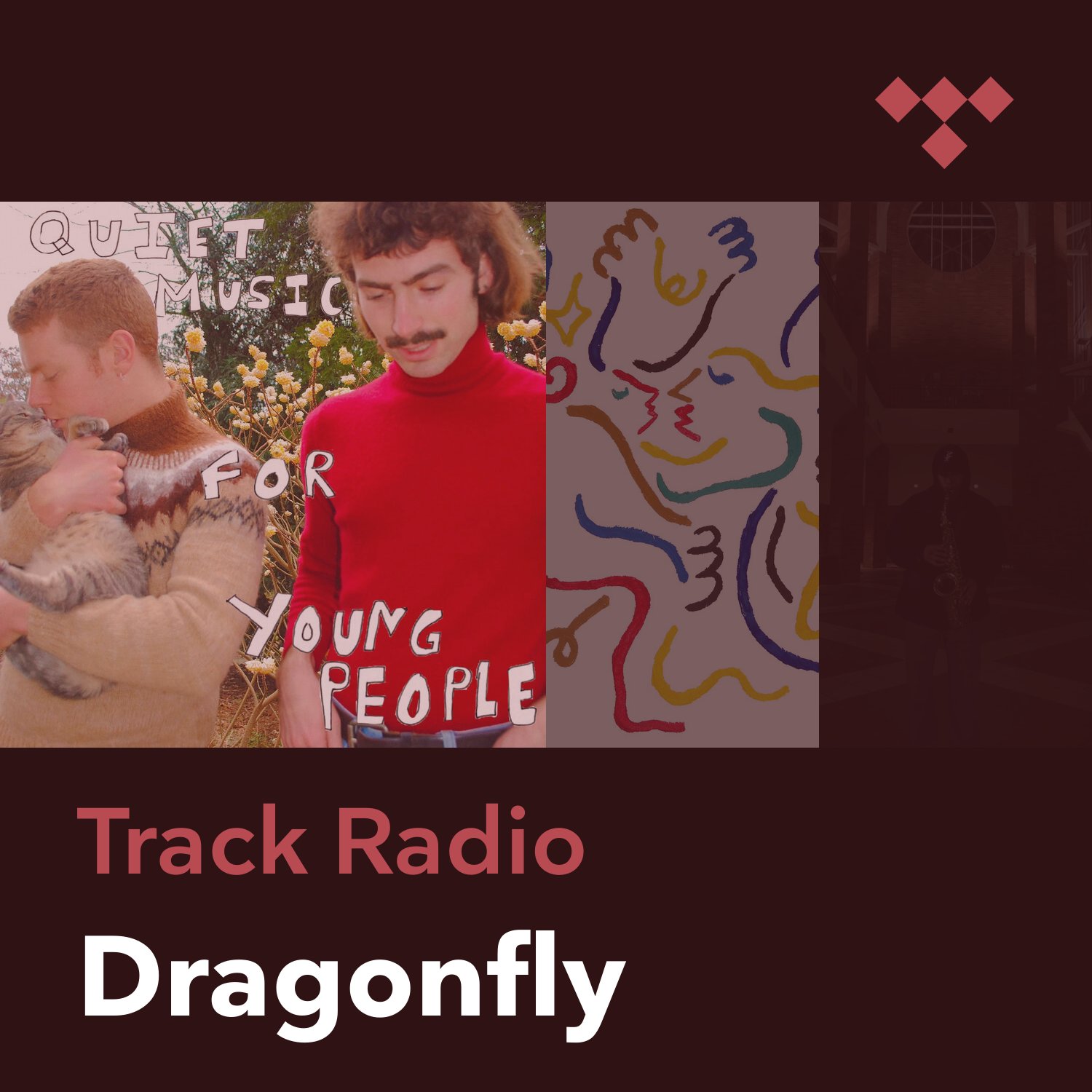 Dragonfly Radio