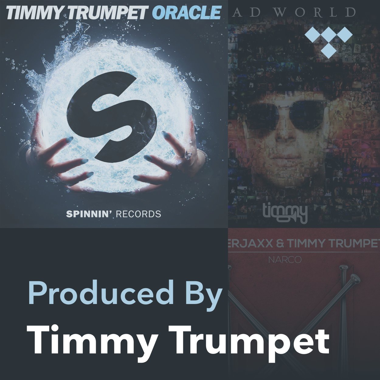 Timmy Trumpet on TIDAL